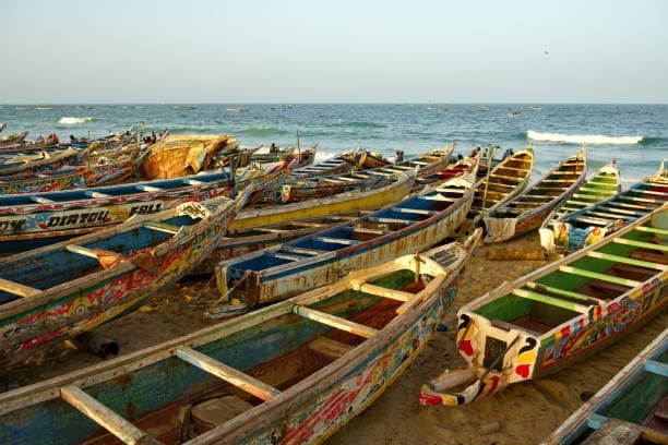 Industrial Fishing Fleet