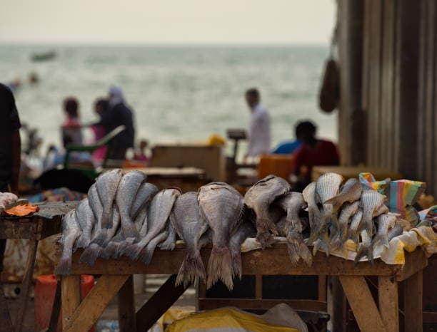 West African Fish Market